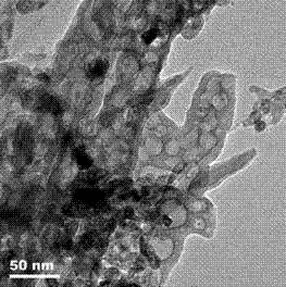 Preparation method of porous cobalt phosphide nanowire catalyst