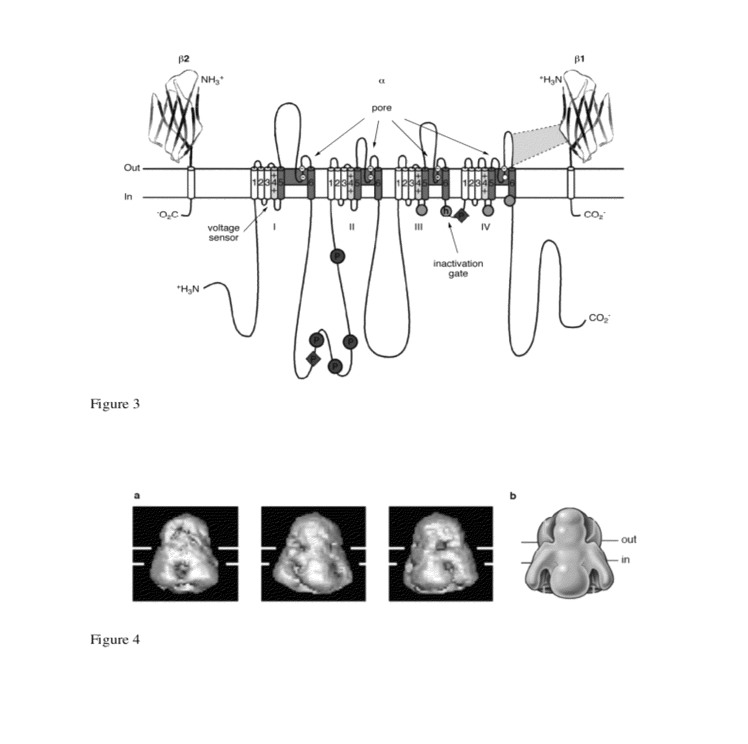 Aconitine compounds, compositions, uses, and preparation thereof