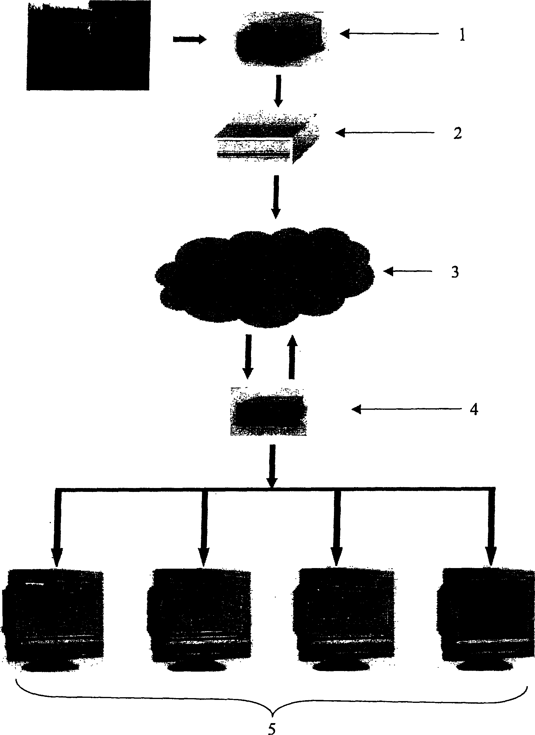 Distant visual computer water level and flow monitor for pre-alarm and disaster prevention