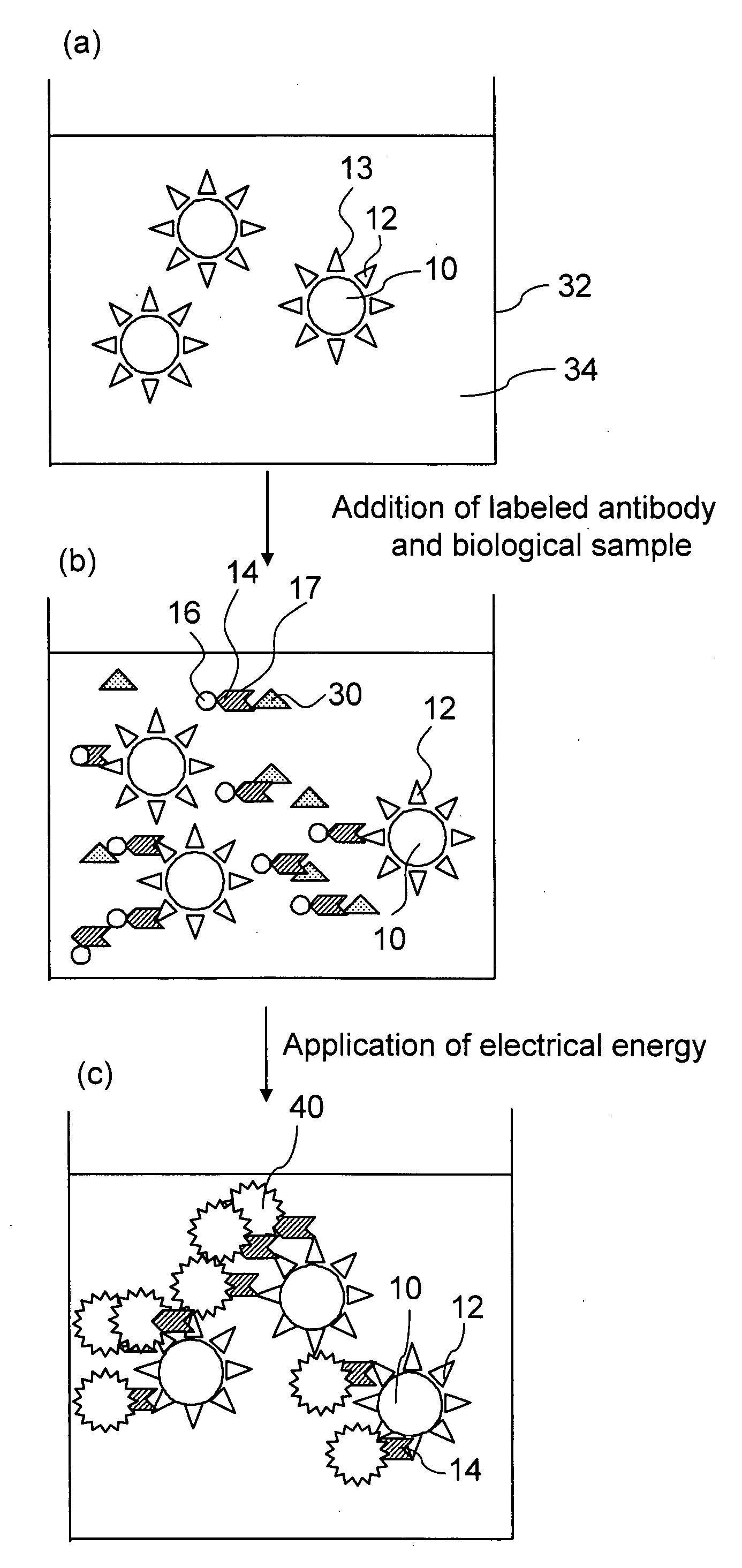 Method of Assaying Alzheimer's Disease and Diagnostic Reagent