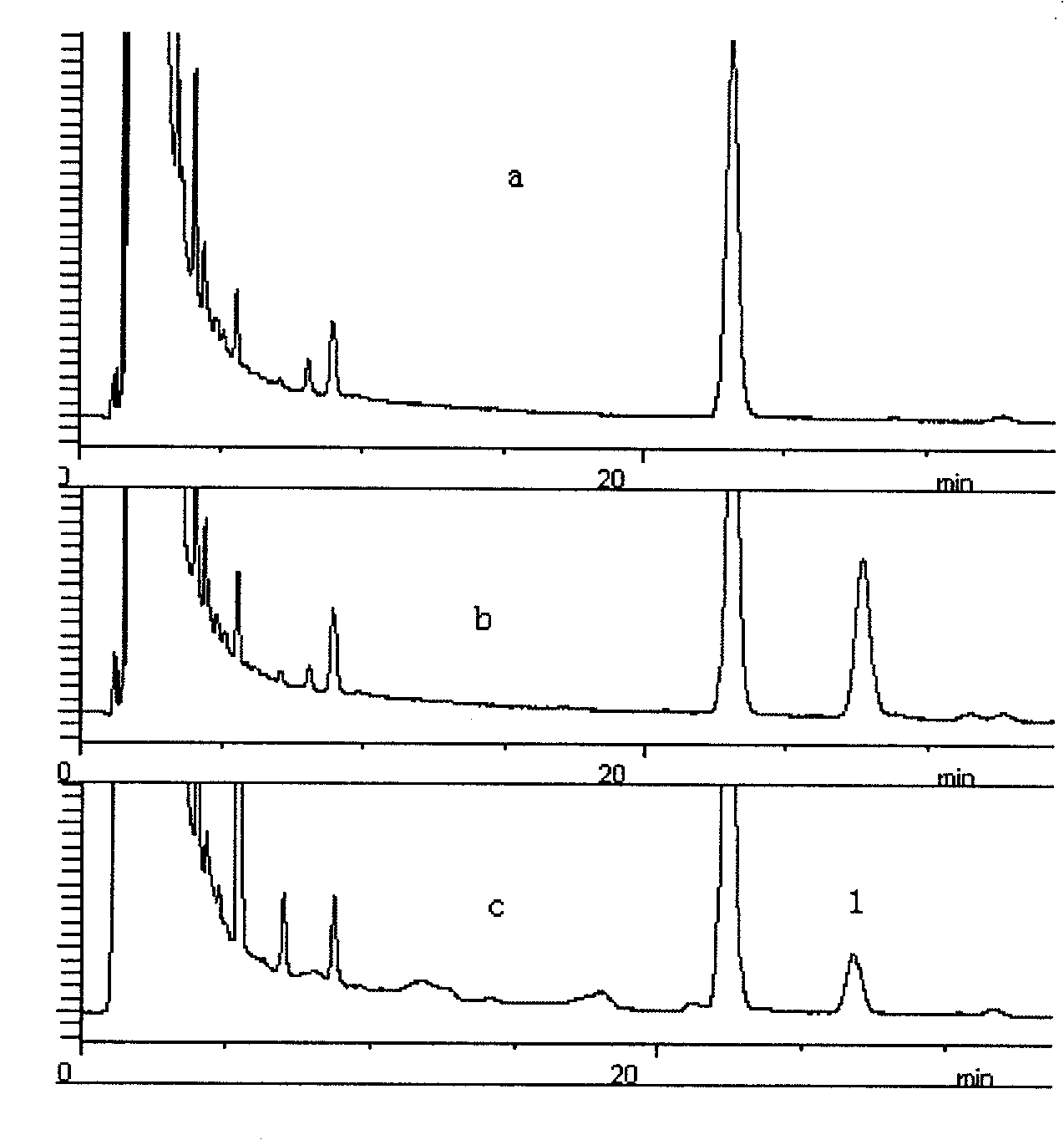 Multi-shell rhzomorph derivative, preparation and uses thereof