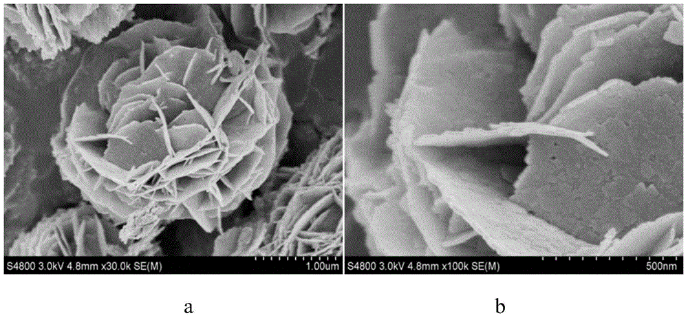 A kind of rare earth element nd-doped bi2wo6 composite photocatalyst and its preparation method and application