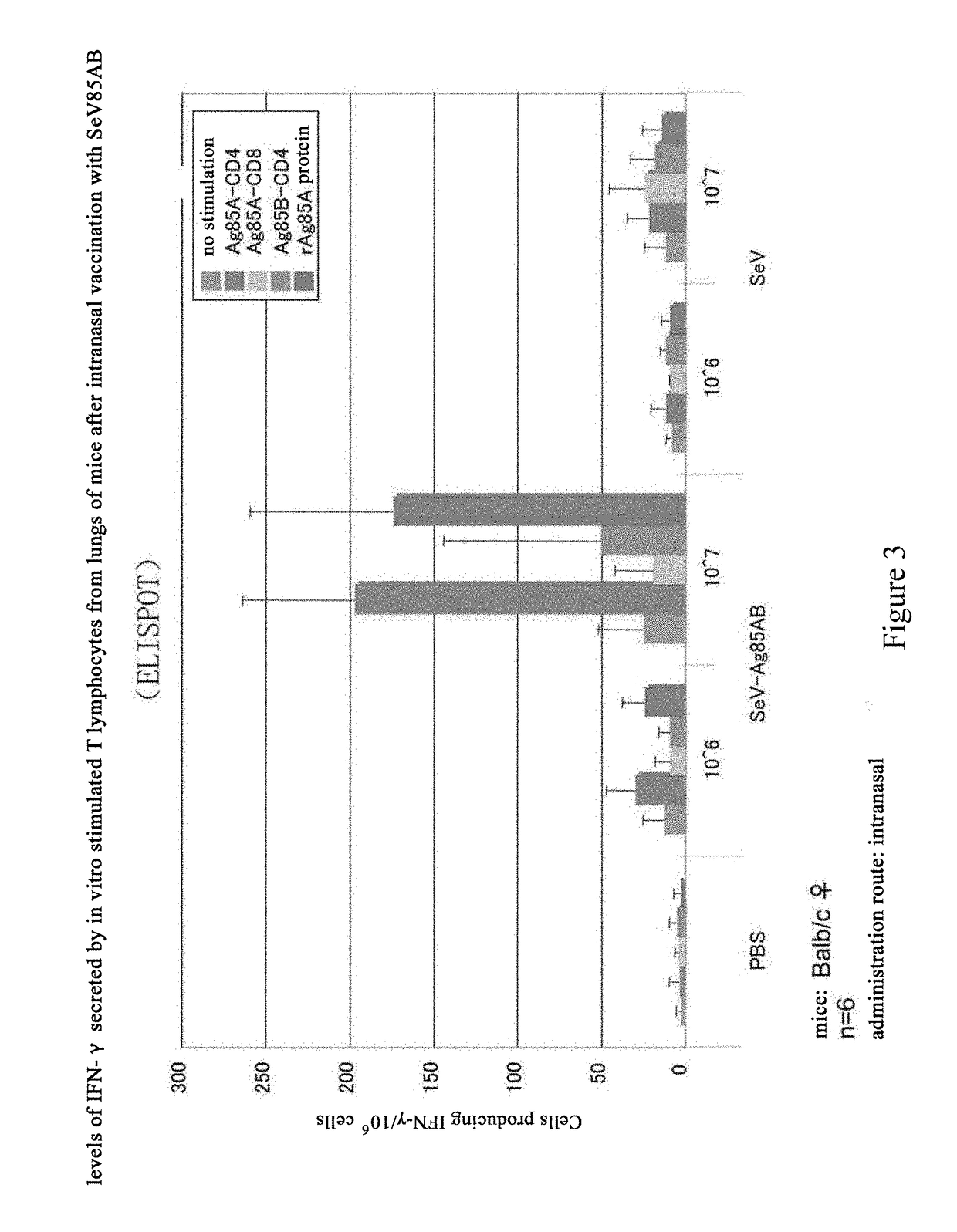 Anti-mycobacterium tuberculosis vaccine using sendai virus as vector