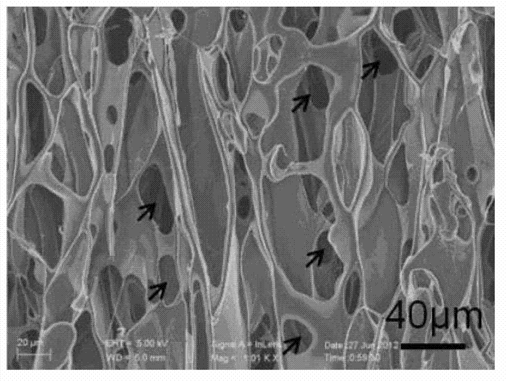 Nanometer composite scaffolds assembled by adopting chitosan scaffold, preparation method and applications thereof