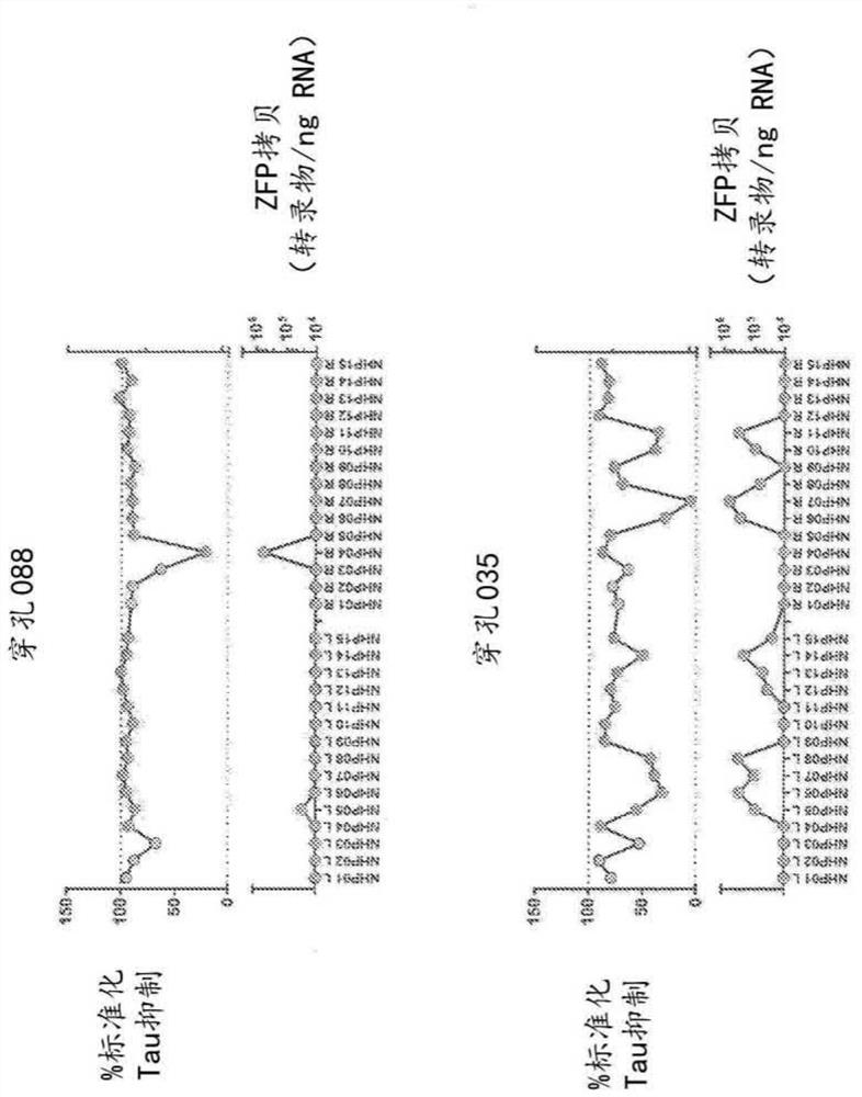 Methods and compositions for modulation of tau proteins