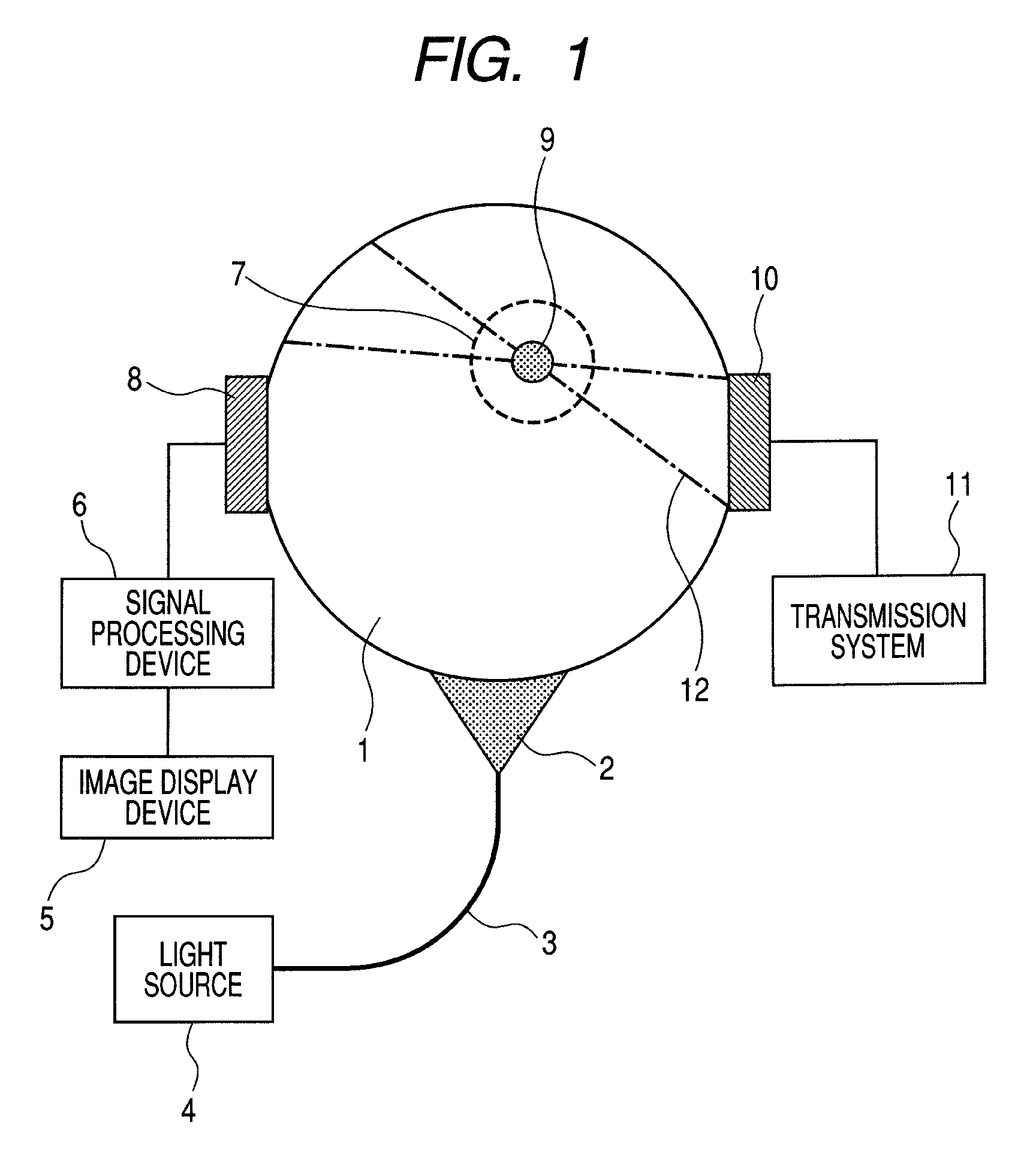 Biological information imaging apparatus and method for analyzing biological information