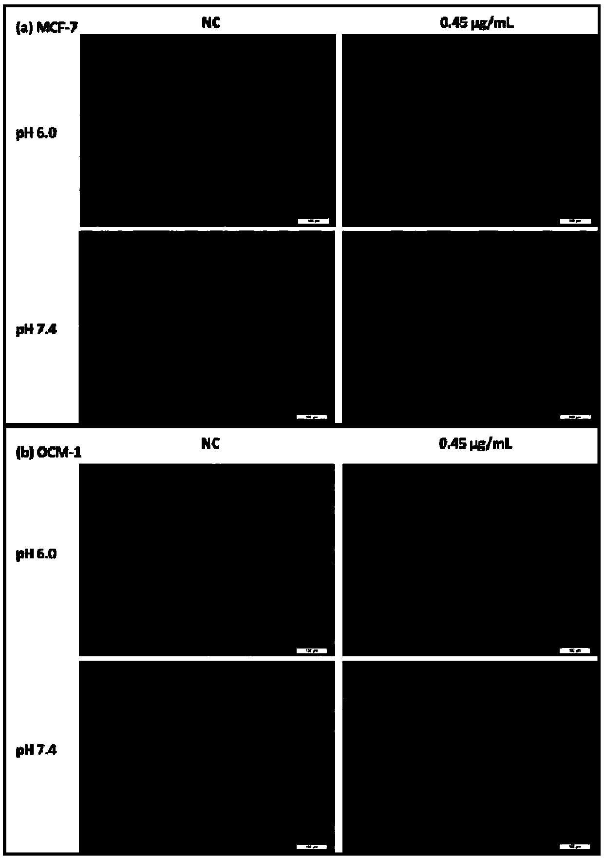 Preparation method and application of tumor-catalyzed nano-reaction system with tumor-targeting function