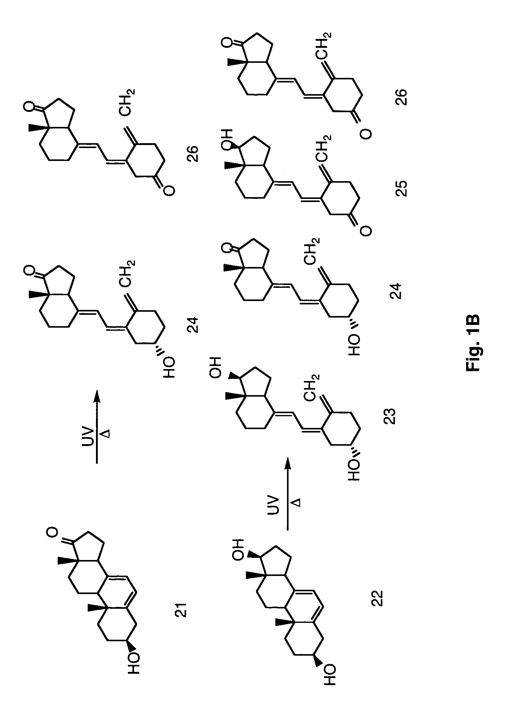 Enzymatic method to produce 7-dehydropregnenolone, vitamin D3-like compounds and derivatives thereof