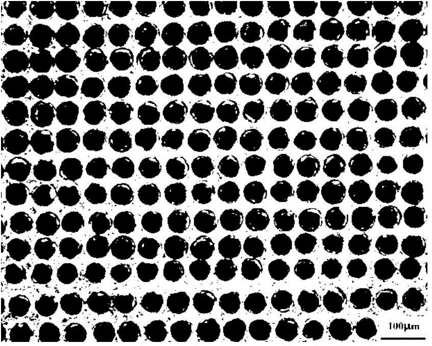 Preparation method of biological composite material using titanium alloy as implant