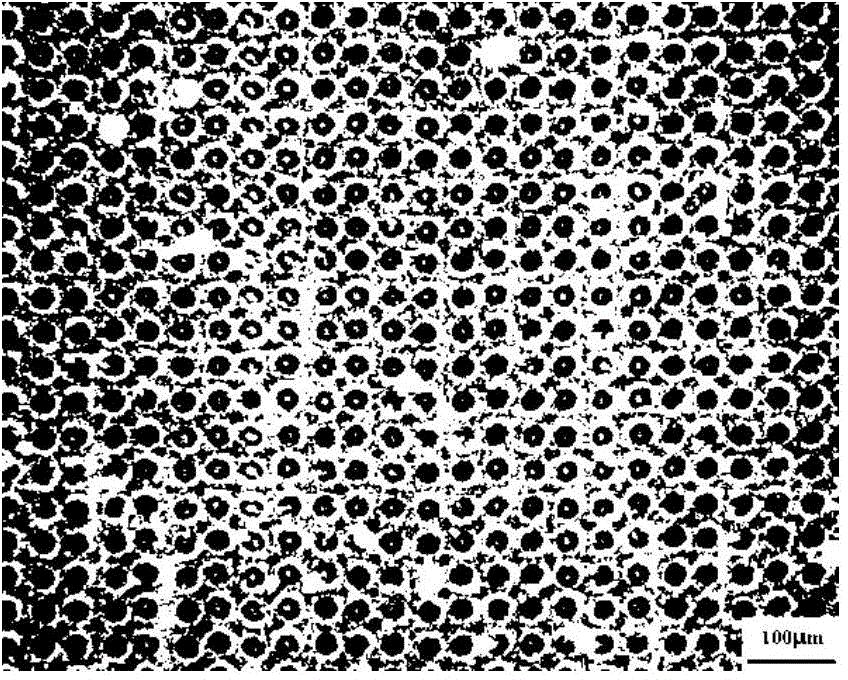 Preparation method of biological composite material using titanium alloy as implant