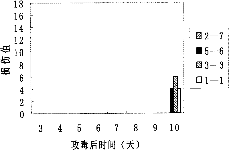 Foot and mouth disease virus inhibitor and preparation method and application thereof