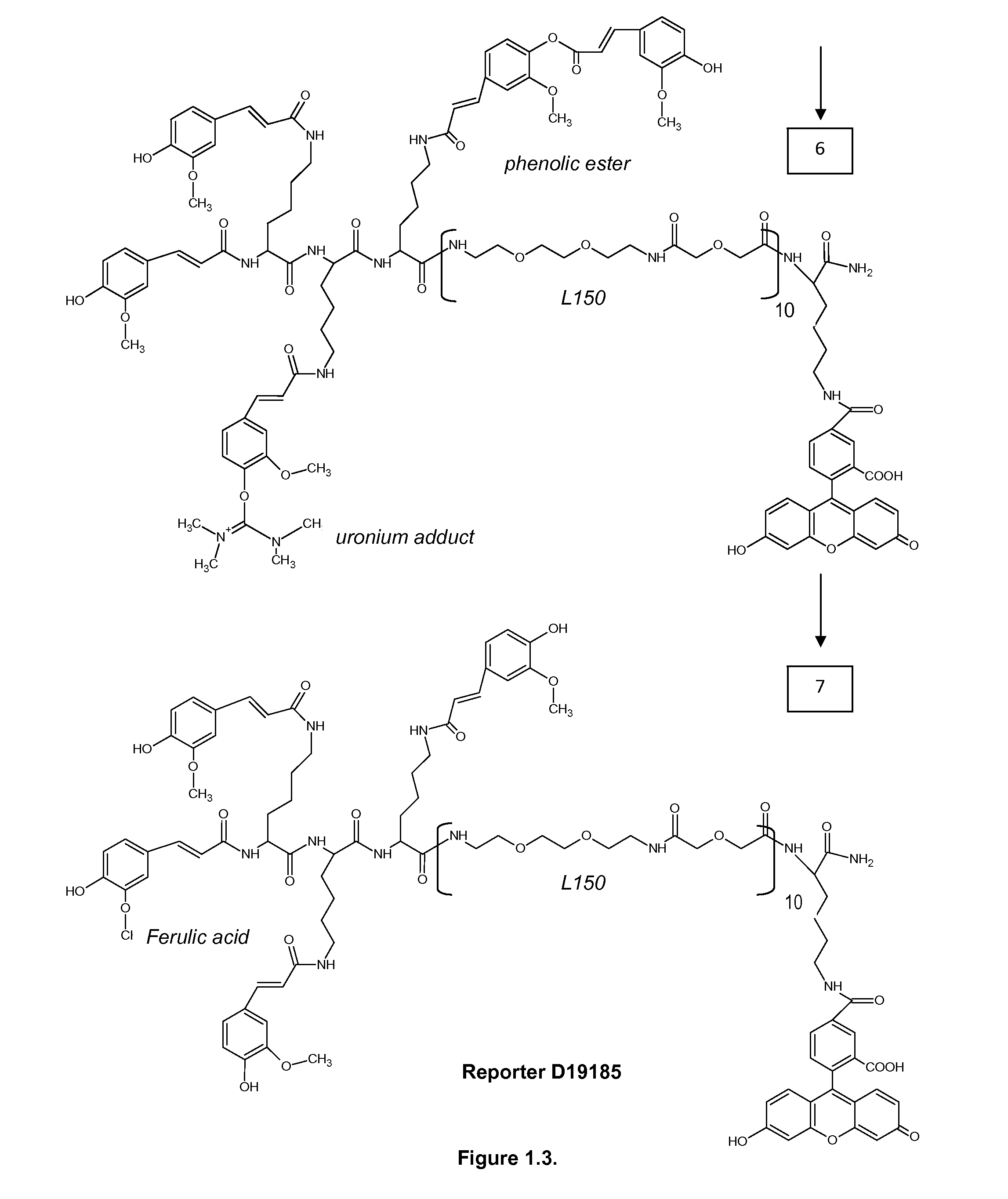 Methods and compounds for detection of molecular targets