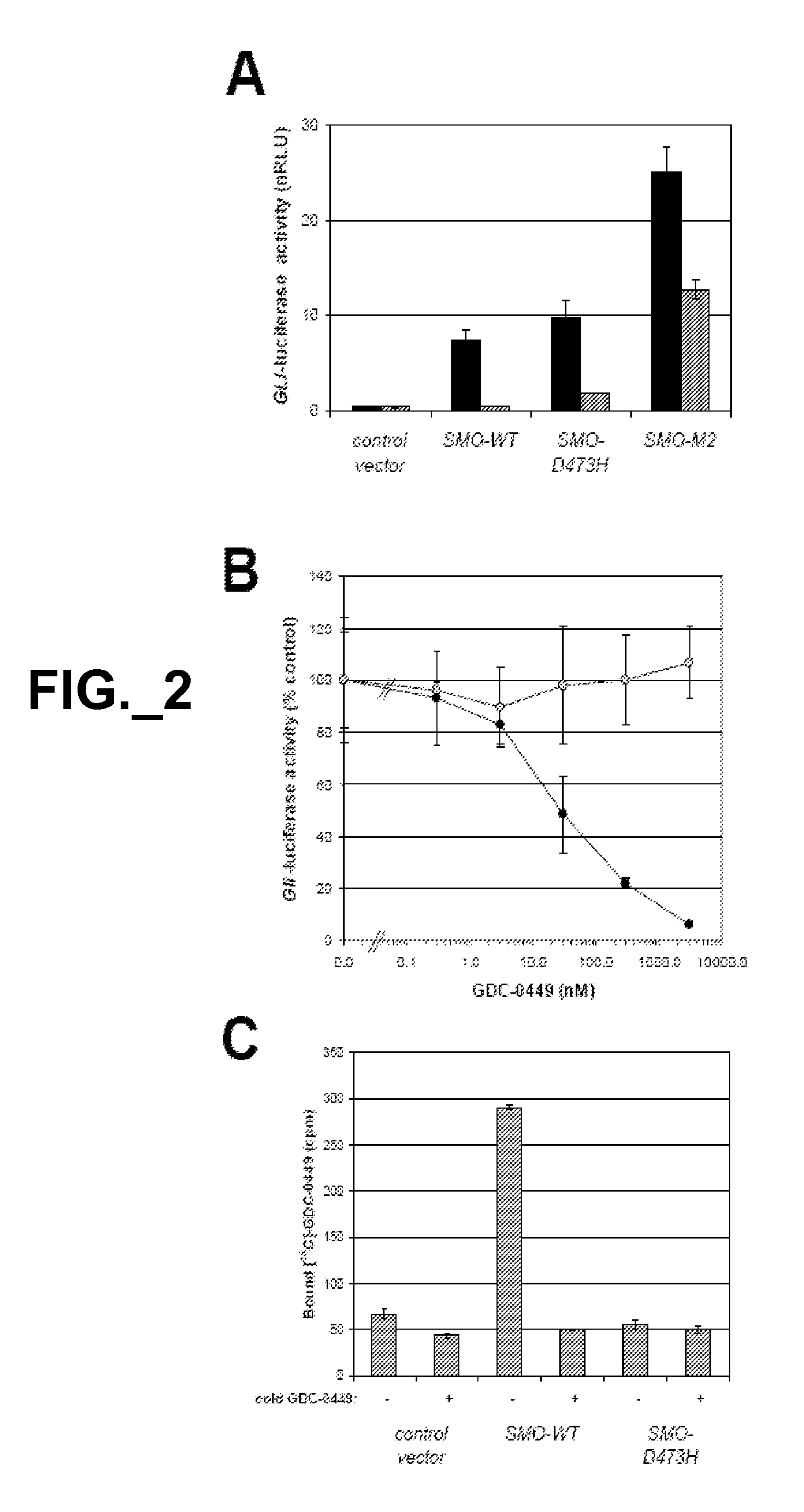 Mutant smoothened and methods of using the same