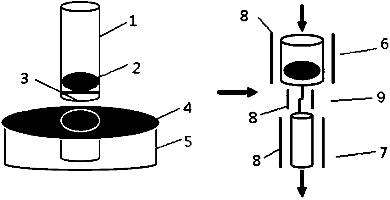 Sample injection and online pretreatment system and method