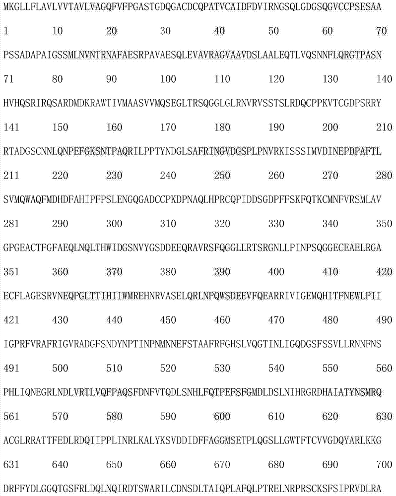 Scylla paramamosain peroxy gene Sp-PX, amino acid sequence encoded by using scylla paramamosain peroxy gene Sp-PX and clone method