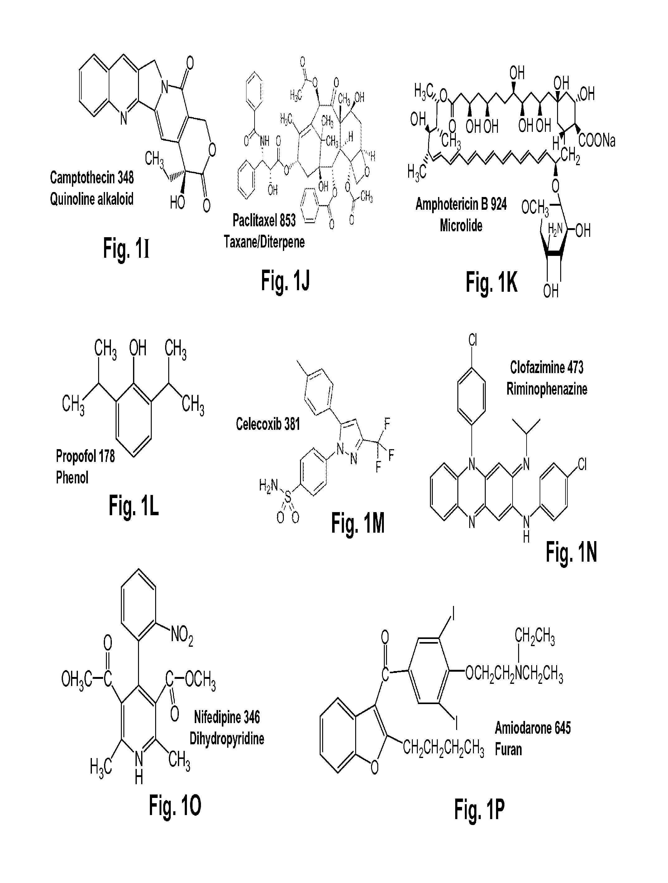 Terpene Glycosides and Their Combinations as Solubilizing Agents