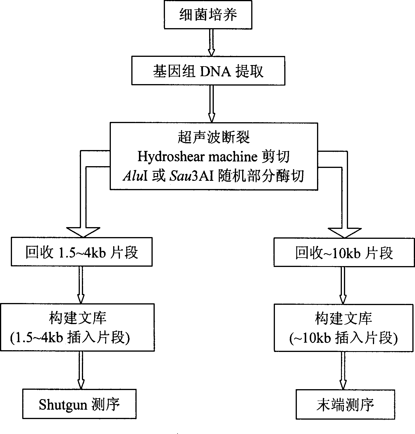 High temp. resistant guanylate kinase gene, its coded polypeptide and preparing method thereof