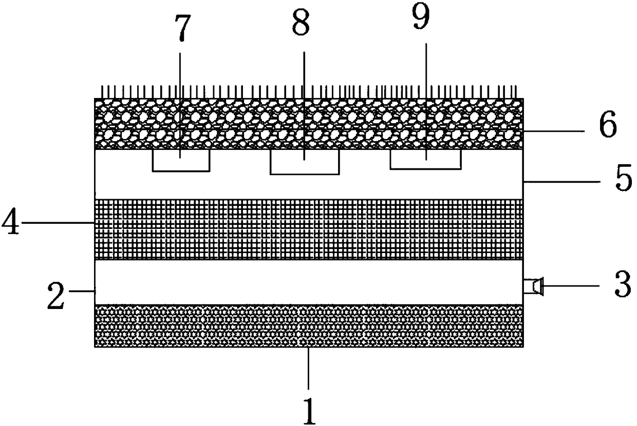 Domestic carpet voice prompting system