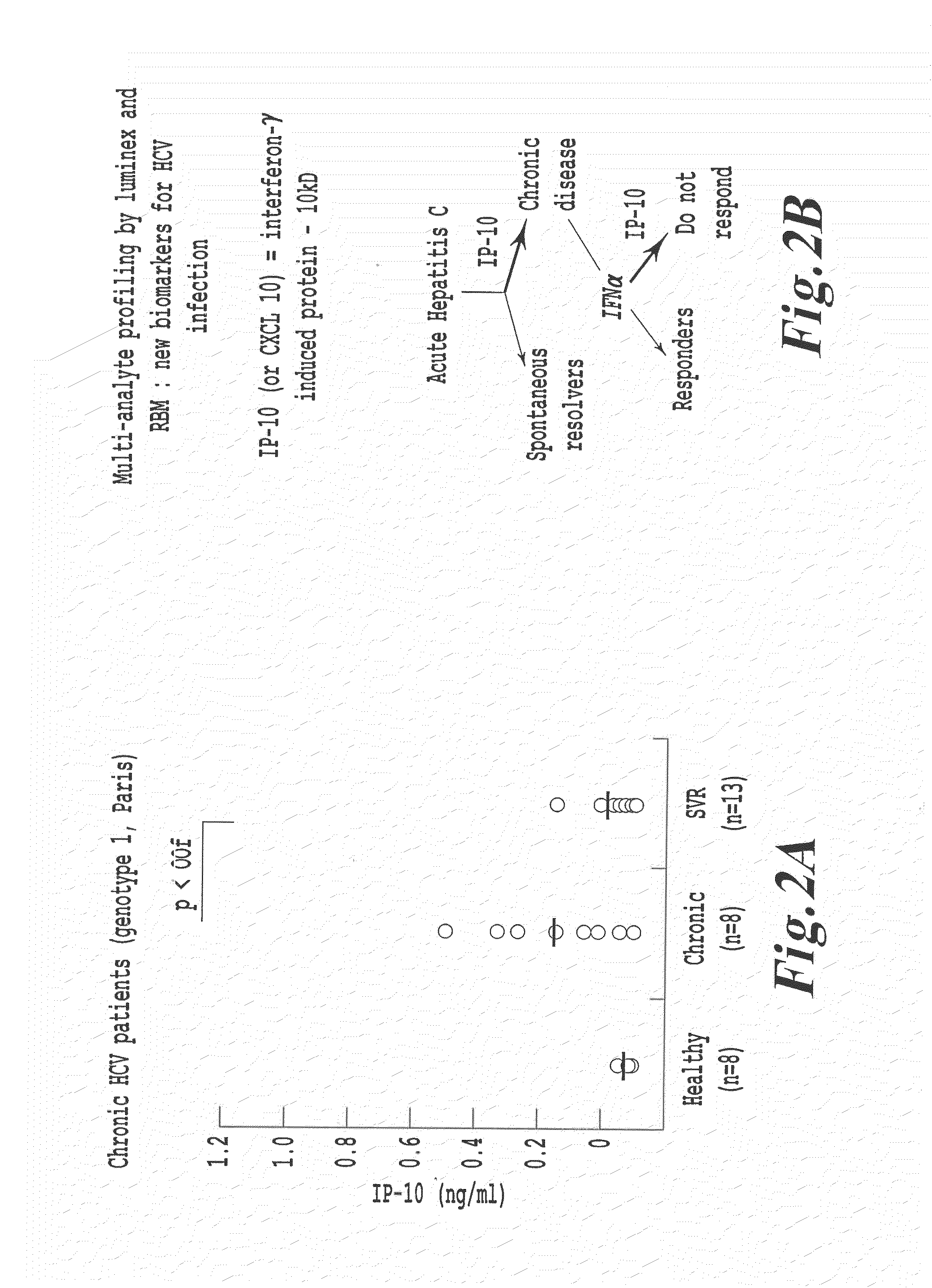 METHODS OF USING sIP-10, CD26 INHIBITORS AND CXCR3 LEVELS IN A SAMPLE TO ASSESS CLEARANCE OF INFECTION, RESPONSE TO INTERFERON THERAPY, AND TREATING CHRONIC INFECTIONS