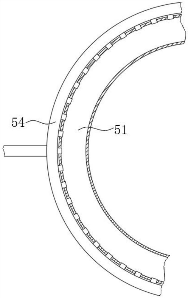 Freeze-drying device for preparing dendrobium (nobile) decoction pieces and drying method