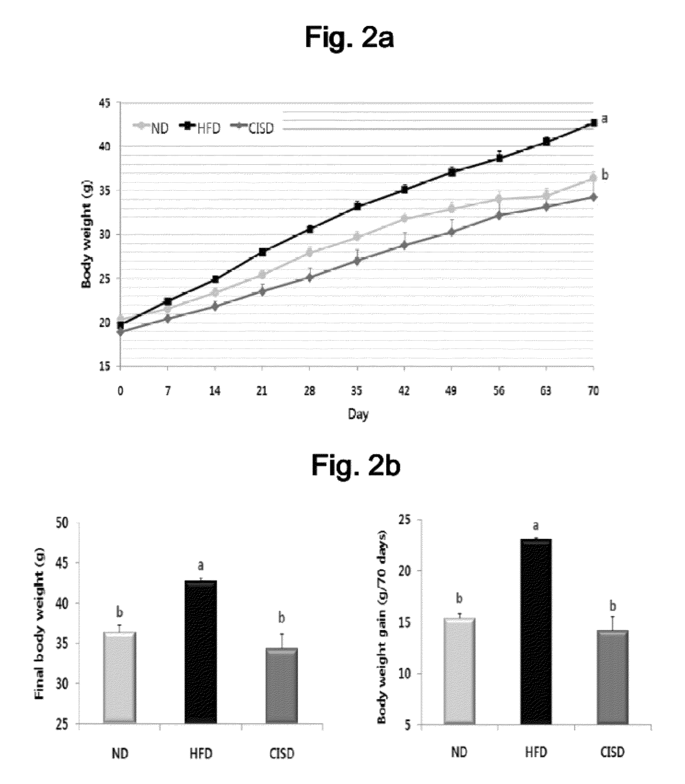 Composition containing cinchonine as an active ingredient for preventing and treating obesity, dyslipidemia, fatty liver, or insulin resistance syndrome