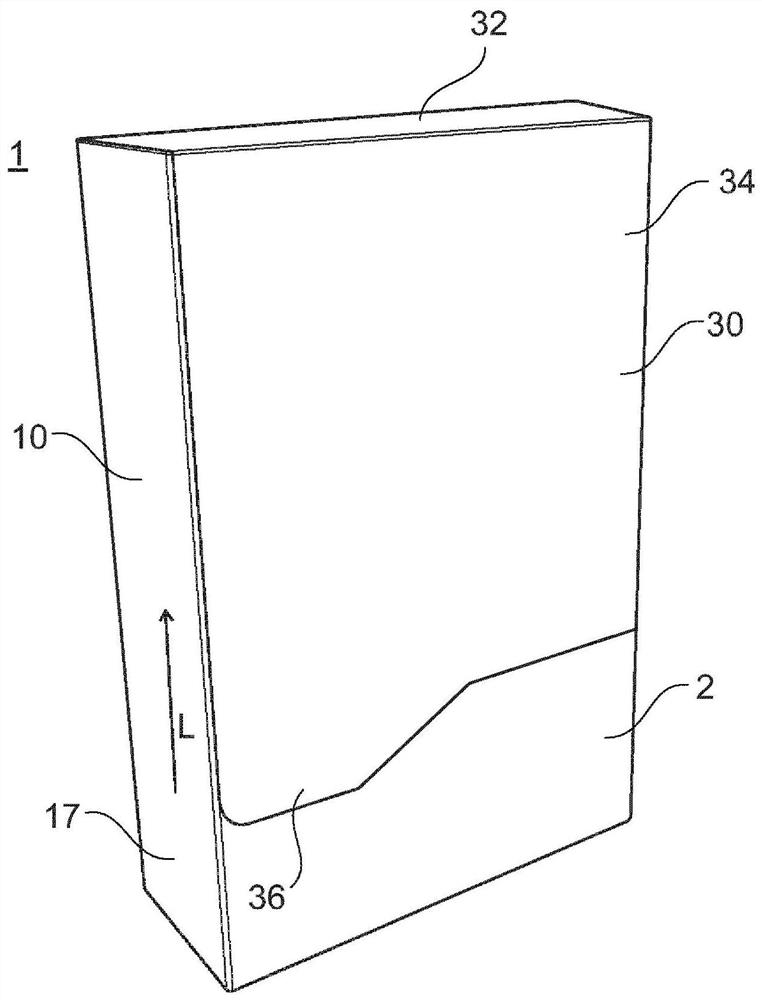 Container for consumer goods