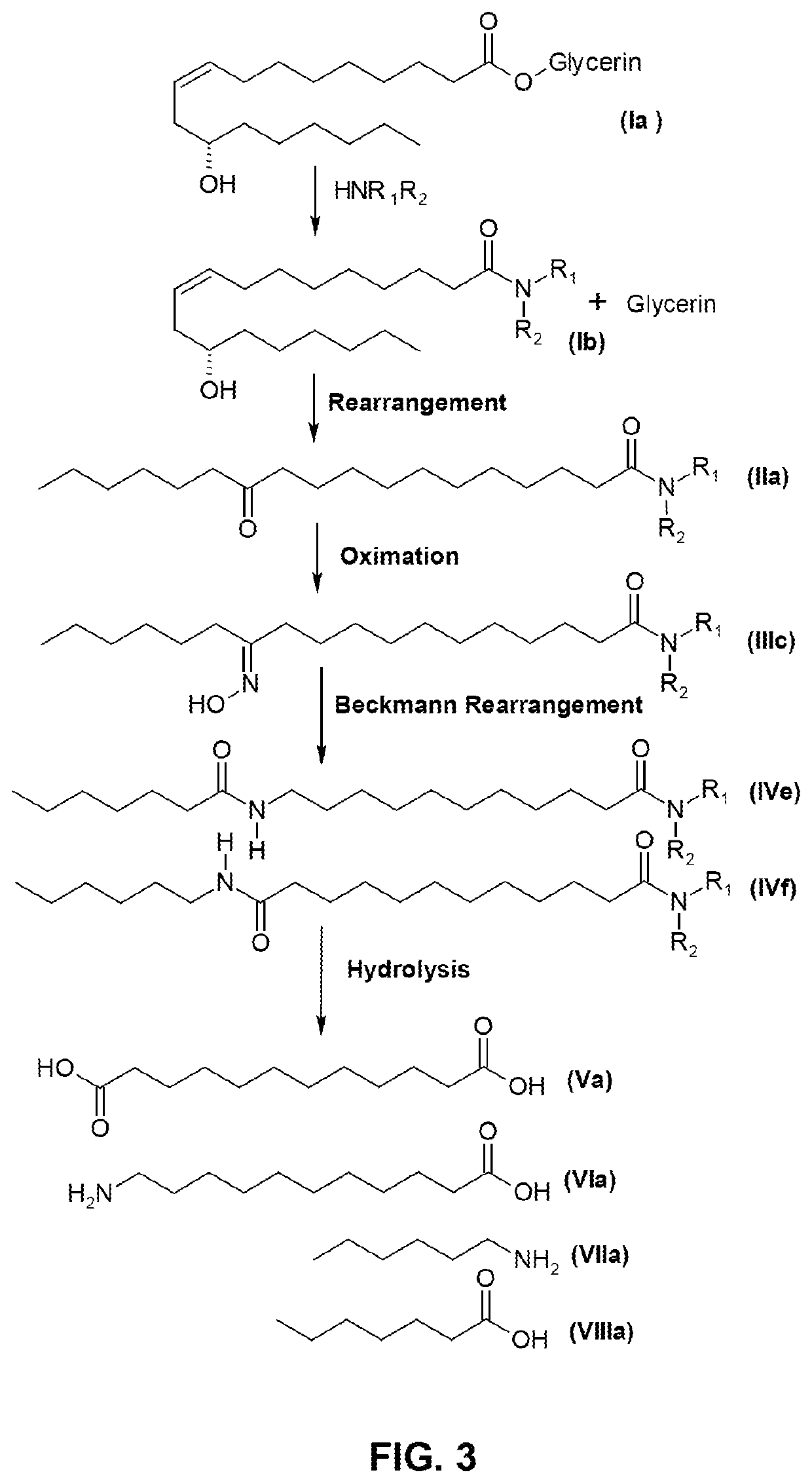 Process for producing long chain amino acids and dibasic acids