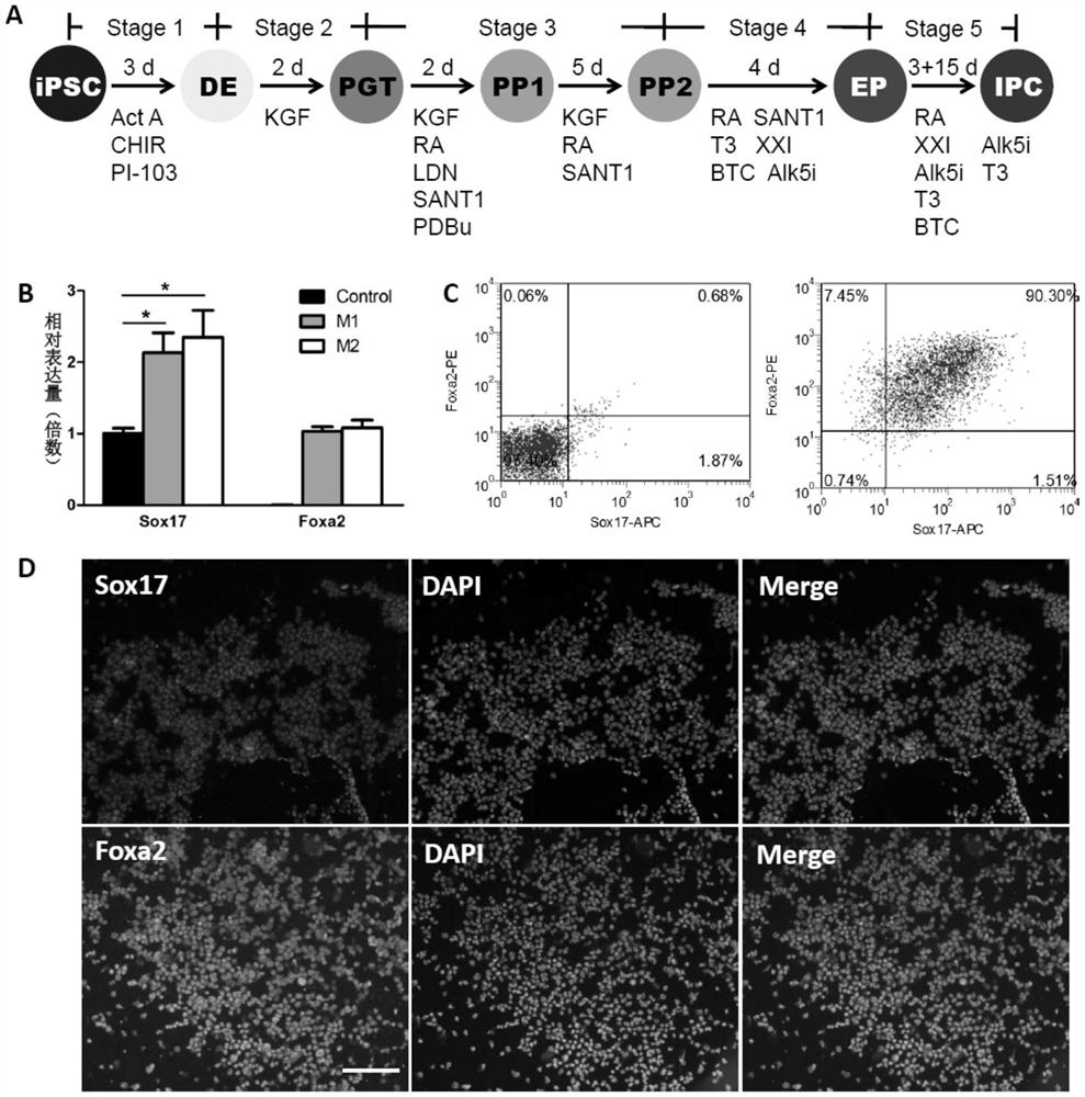 Construction and application of induced pluripotent stem cell line expressing pdx1/insulin dual reporter gene