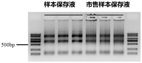 Sequencing library construction method and kit for pathogenic microorganism detection