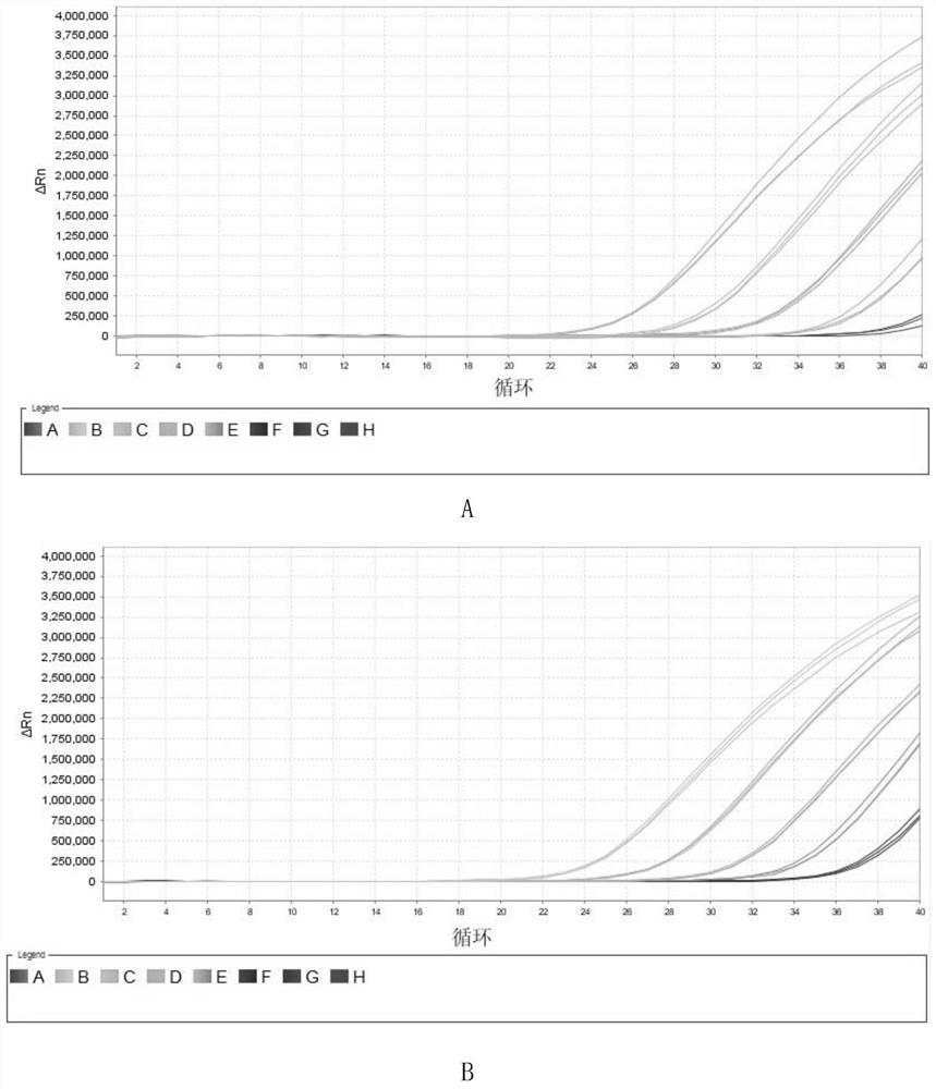 Double real-time fluorescent quantitative pcr identification method of brucella s2 vaccine strain and the kit of reagents used