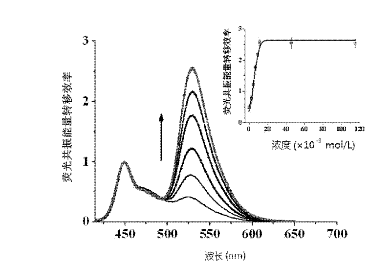 Fluorescence detection method for detecting desoxyribonucleic acid binding protein