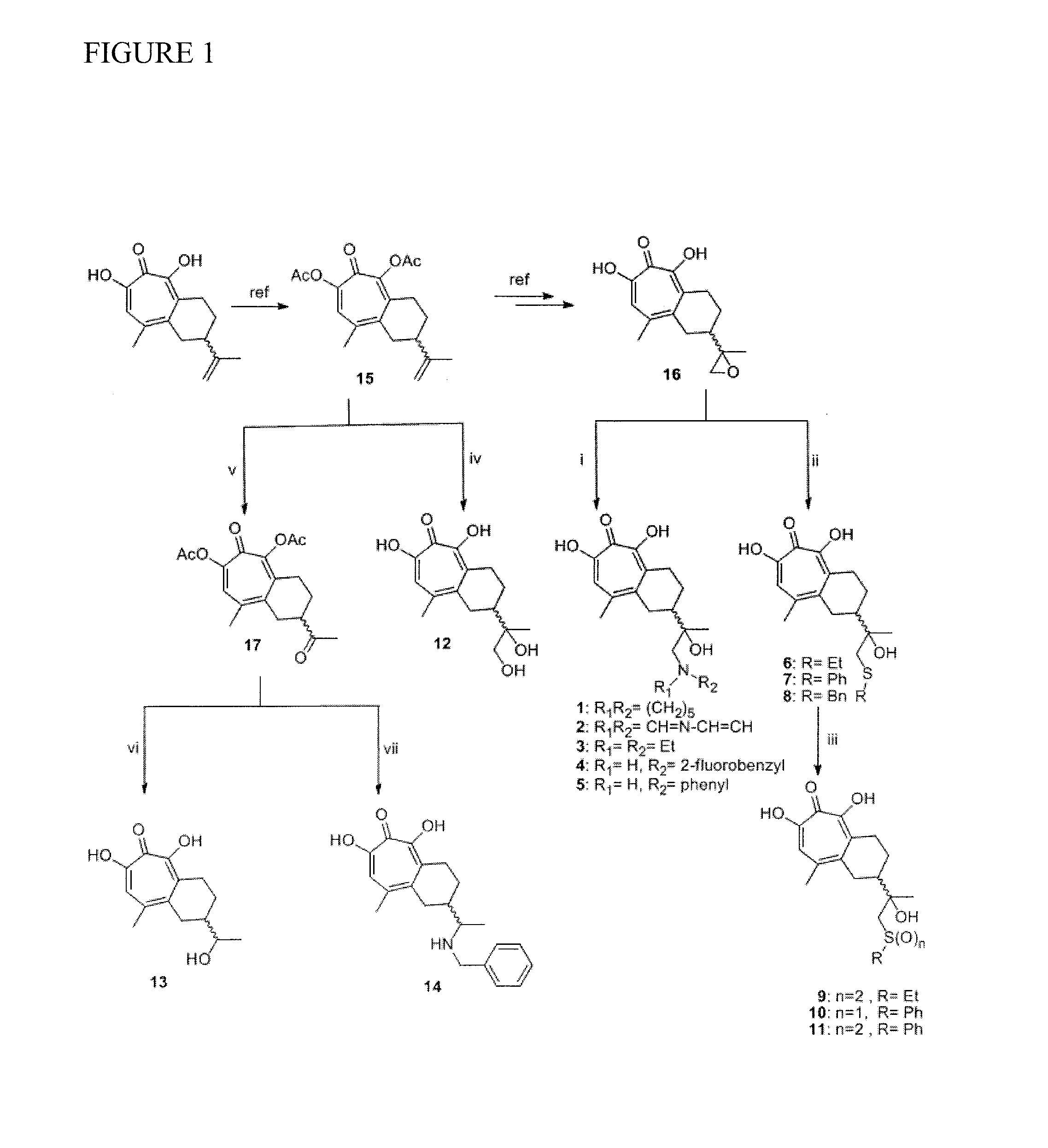 Tropolone compounds for treating or preventing retroviral infection