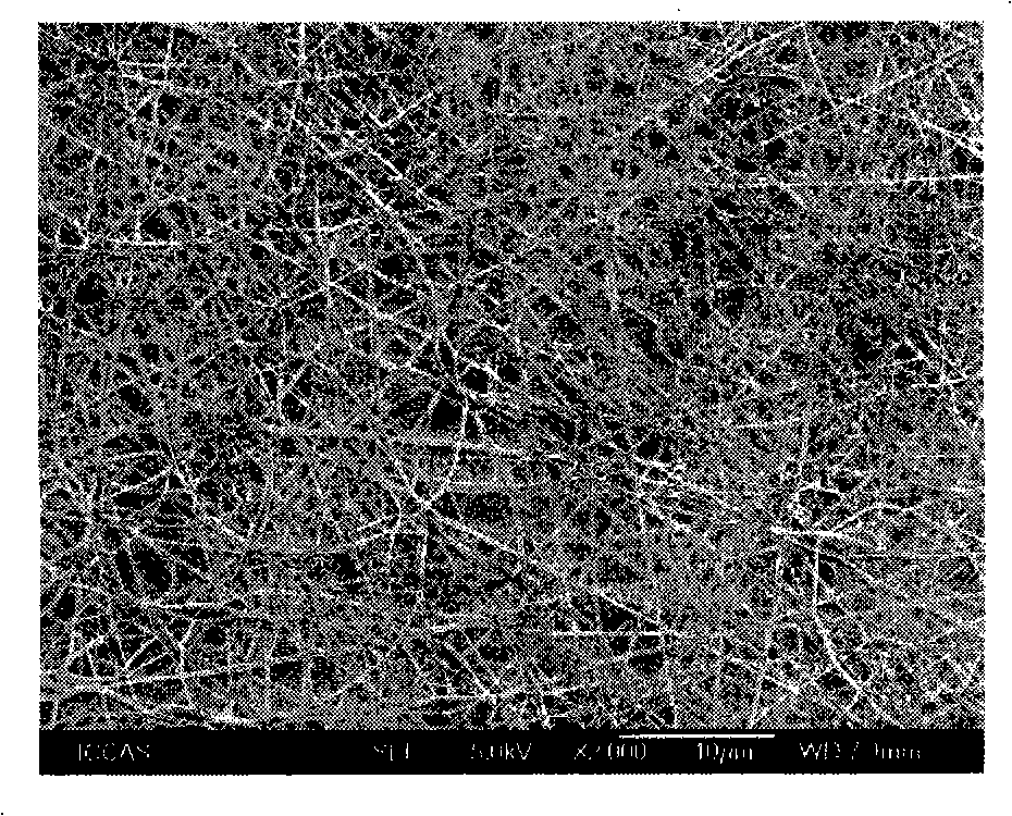 Biodegradable and absorbable polymer superfine fibre film with radioactive nuclide marker and preparation and use thereof