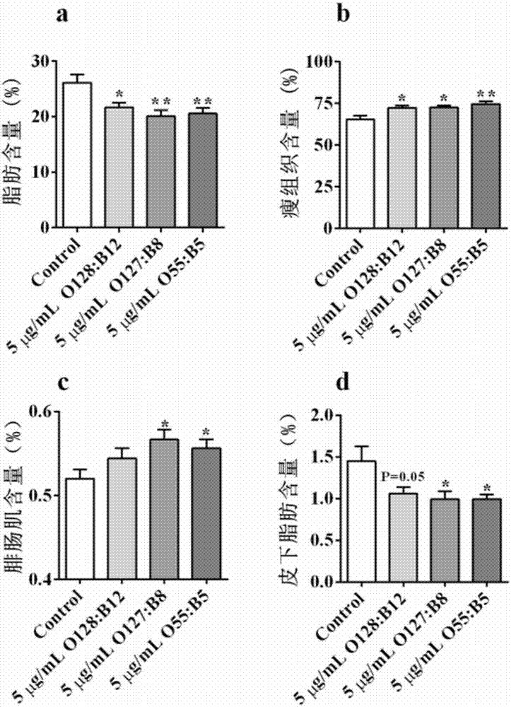 Application of lipopolysaccharide in respect of preparing additive for promoting animal feeding and improving composition of bodies
