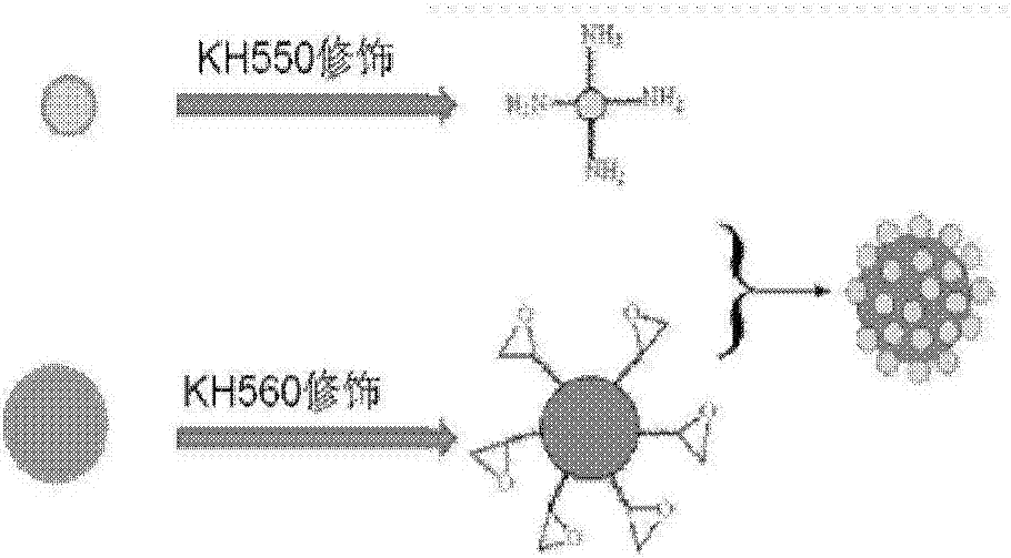 Superhydrophobic coating composition and superhydrophobic coating formed therewith