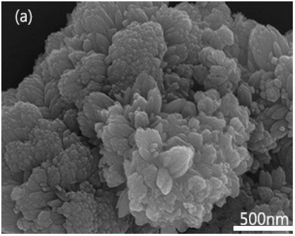 Titanium dioxide nano particle anode material of lithium ion power battery and method for preparing titanium dioxide nano particle anode material