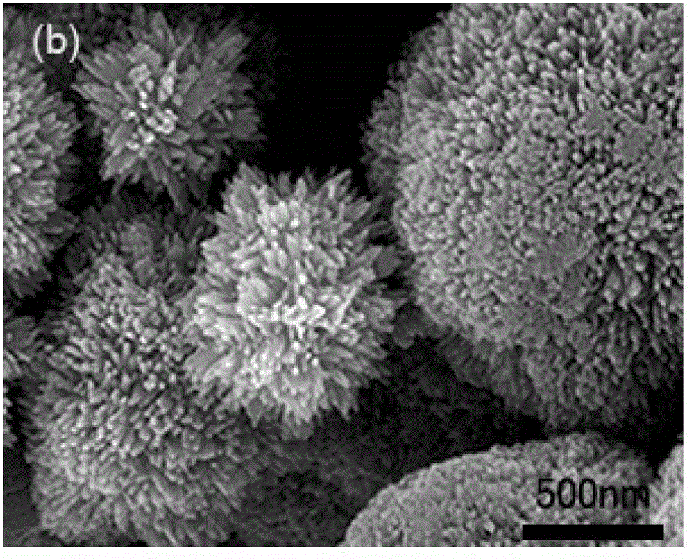 Titanium dioxide nano particle anode material of lithium ion power battery and method for preparing titanium dioxide nano particle anode material
