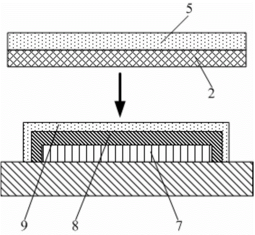 OLED device and packaging method and packaging device thereof