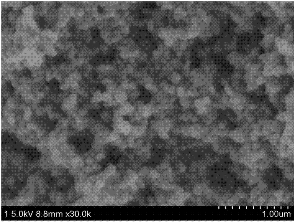 Waterproof and oil-proof magnetic tio2/fe3o4 composite particle and its preparation method and application