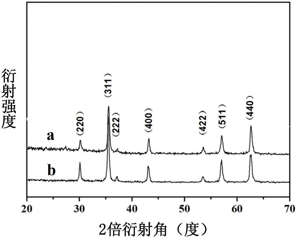 Waterproof and oil-proof magnetic tio2/fe3o4 composite particle and its preparation method and application