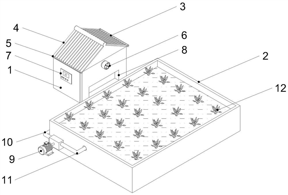 Green and environment-friendly three-dimensional rice and duck integrated farming system