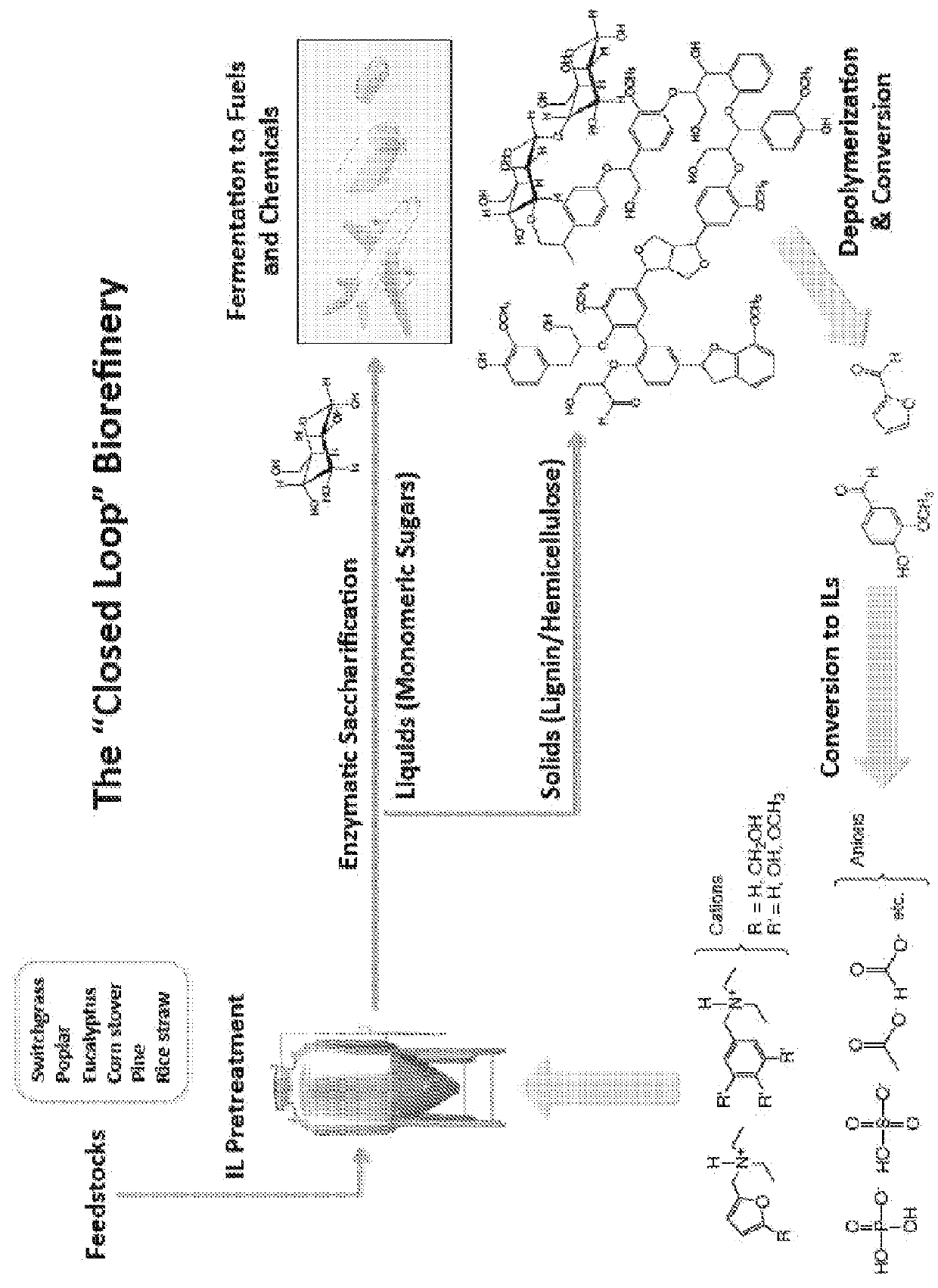 Synthesis of novel ionic liquids from lignin-derived compounds