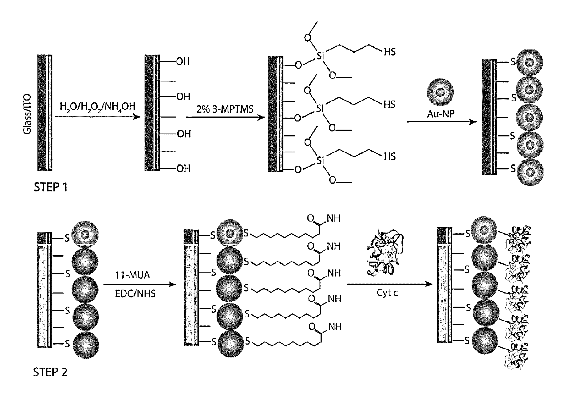 Sensor for detecting hydrogen peroxide