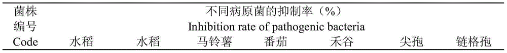 Bacillus amyloliquefaciens and application thereof