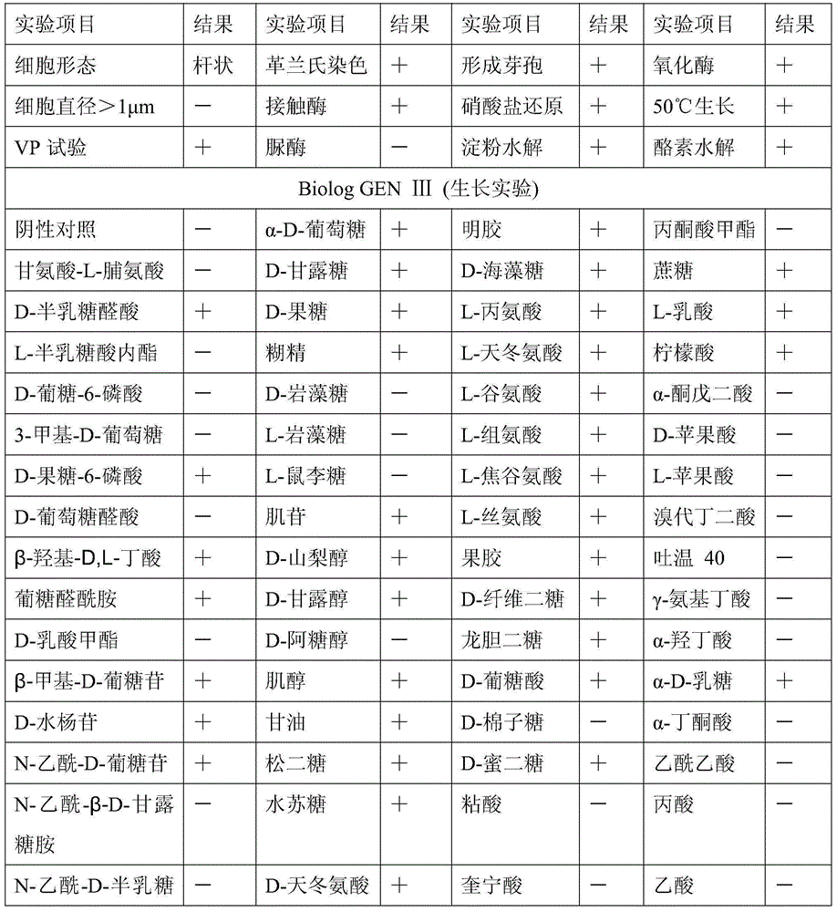 Bacillus amyloliquefaciens and application thereof