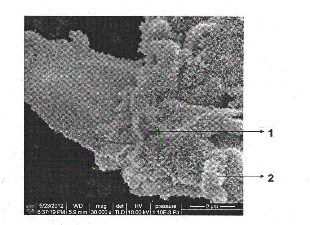 Method for preparing carbon-material-carrying tin dioxide nanosheet composite material