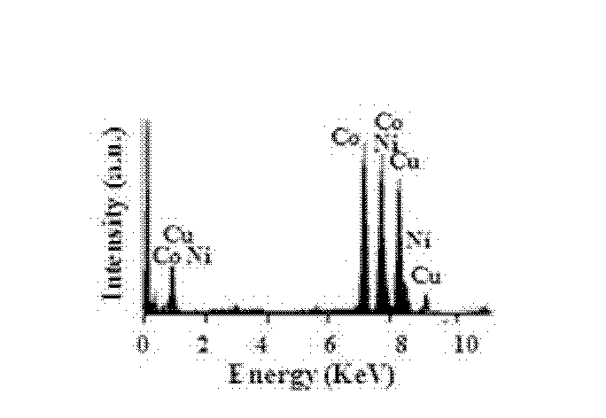 Preparation method of icosahedron crystalline nano nickel-cobalt alloy