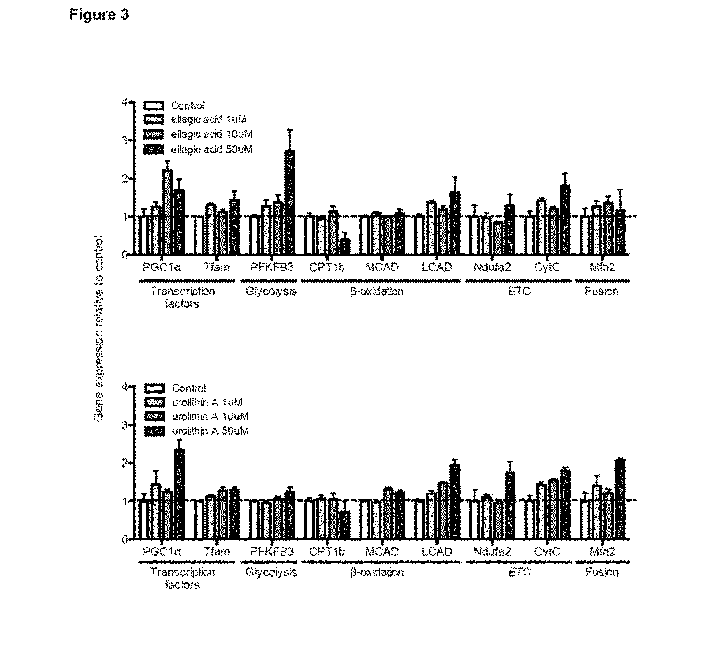Compositions and Methods for Improving Mitochondrial Function and Treating Neurodegenerative Diseases and Cognitive Disorders