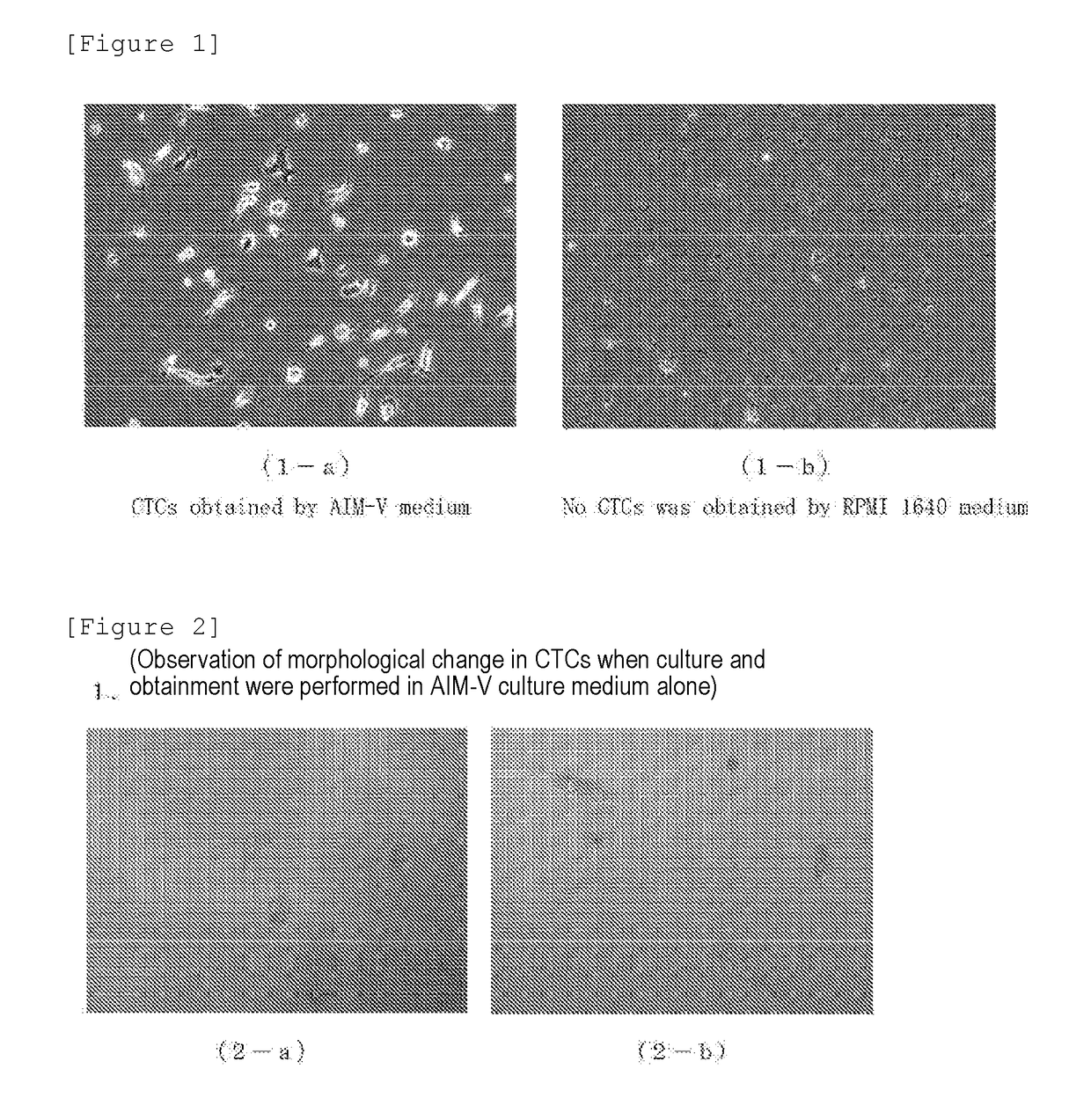 Method for detecting or separating/obtaining circulating tumor cell employing cell proliferation method