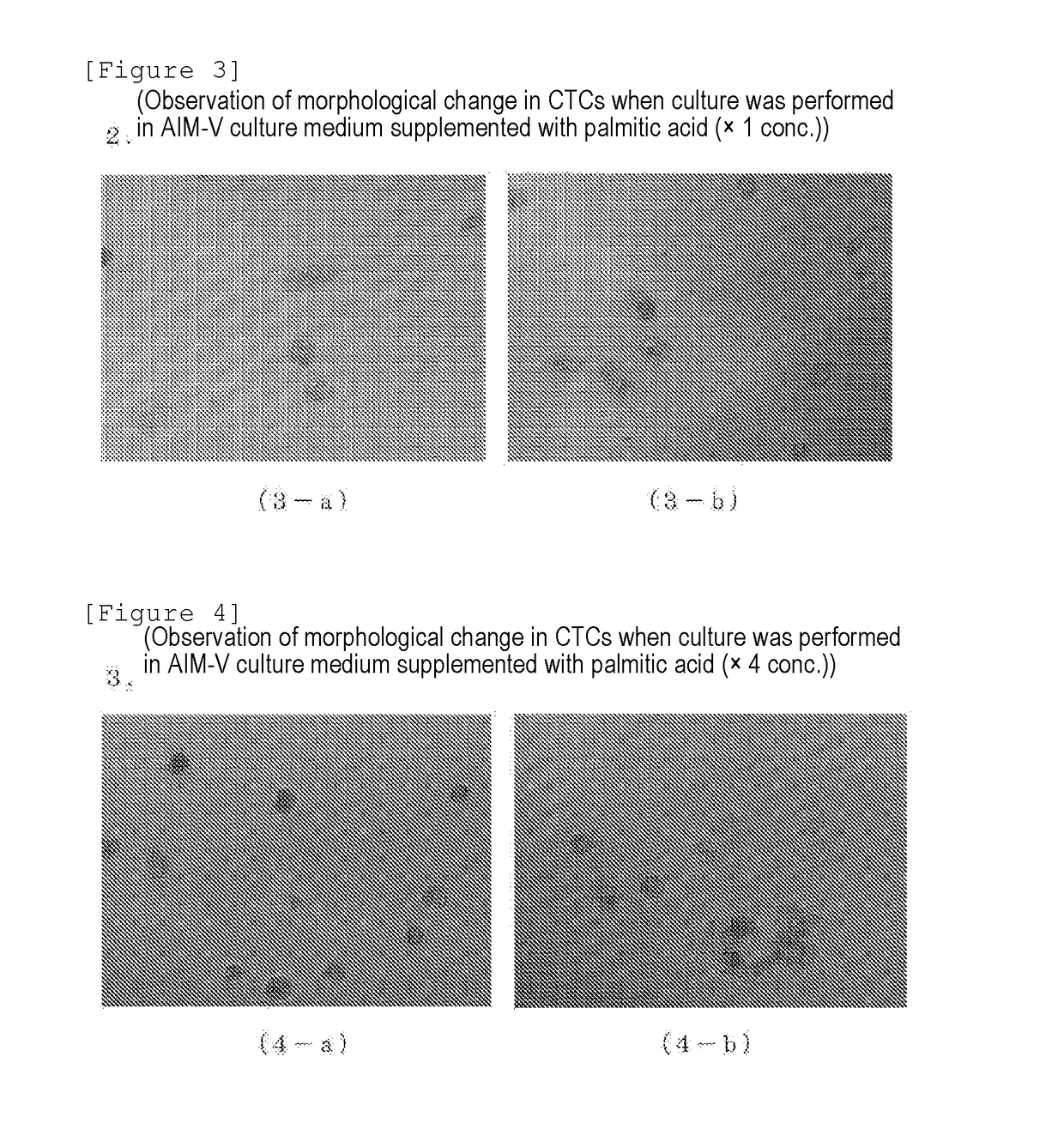 Method for detecting or separating/obtaining circulating tumor cell employing cell proliferation method
